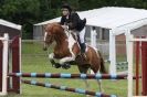 Image 34 in CAROUSEL RIDING CLUB EQUINE FESTIVAL 9 JUNE 2013