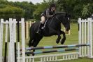 Image 39 in CAROUSEL RIDING CLUB  EQUINE FESTIVAL  9 JUNE 2013