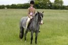 Image 4 in CAROUSEL RIDING CLUB EQUINE FESTIVAL 9 JUNE 2013