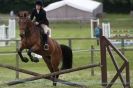 Image 43 in CAROUSEL RIDING CLUB EQUINE FESTIVAL 9 JUNE 2013