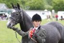 Image 46 in CAROUSEL RIDING CLUB EQUINE FESTIVAL 9 JUNE 2013