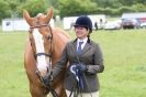 Image 47 in CAROUSEL RIDING CLUB  EQUINE FESTIVAL  9 JUNE 2013