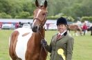 Image 48 in CAROUSEL RIDING CLUB EQUINE FESTIVAL 9 JUNE 2013