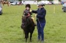 Image 5 in CAROUSEL RIDING CLUB EQUINE FESTIVAL 9 JUNE 2013