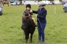 Image 5 in CAROUSEL RIDING CLUB  EQUINE FESTIVAL  9 JUNE 2013