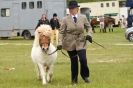 Image 50 in CAROUSEL RIDING CLUB  EQUINE FESTIVAL  9 JUNE 2013