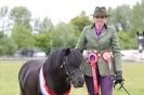 Image 51 in CAROUSEL RIDING CLUB EQUINE FESTIVAL 9 JUNE 2013