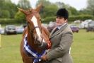 Image 52 in CAROUSEL RIDING CLUB EQUINE FESTIVAL 9 JUNE 2013