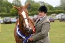 Image 52 in CAROUSEL RIDING CLUB  EQUINE FESTIVAL  9 JUNE 2013