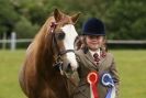 Image 55 in CAROUSEL RIDING CLUB EQUINE FESTIVAL 9 JUNE 2013