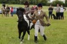 Image 6 in CAROUSEL RIDING CLUB EQUINE FESTIVAL 9 JUNE 2013