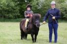Image 7 in CAROUSEL RIDING CLUB EQUINE FESTIVAL 9 JUNE 2013