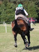 Image 152 in BURNHAM MARKET 2. 11 SEPT. 2016.BE100. A B C AND D.
