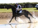 Image 35 in BURNHAM MARKET 2. 11 SEPT. 2016.BE100. A B C AND D.