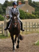 Image 117 in HALESWORTH AND DISTRICT RC. DRESSAGE 18 SEPT. 2016