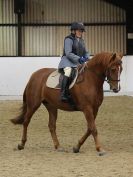 Image 17 in HALESWORTH AND DISTRICT RC. DRESSAGE 18 SEPT. 2016