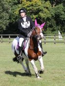 Image 106 in BECCLES AND BUNGAY RC. ONE DAY EVENT. 25 SEPT. 2016. GALLERY COMPLETE.