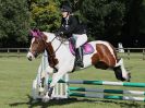 Image 111 in BECCLES AND BUNGAY RC. ONE DAY EVENT. 25 SEPT. 2016. GALLERY COMPLETE.