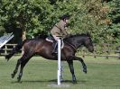 Image 117 in BECCLES AND BUNGAY RC. ONE DAY EVENT. 25 SEPT. 2016. GALLERY COMPLETE.