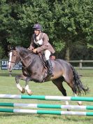 Image 141 in BECCLES AND BUNGAY RC. ONE DAY EVENT. 25 SEPT. 2016. GALLERY COMPLETE.