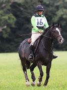Image 192 in BECCLES AND BUNGAY RC. ONE DAY EVENT. 25 SEPT. 2016. GALLERY COMPLETE.