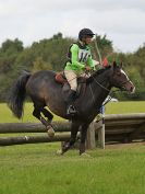 Image 195 in BECCLES AND BUNGAY RC. ONE DAY EVENT. 25 SEPT. 2016. GALLERY COMPLETE.