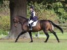 Image 42 in BECCLES AND BUNGAY RC. ONE DAY EVENT. 25 SEPT. 2016. GALLERY COMPLETE.