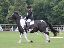Image 57 in BECCLES AND BUNGAY RC. ONE DAY EVENT. 25 SEPT. 2016. GALLERY COMPLETE.