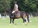Image 62 in BECCLES AND BUNGAY RC. ONE DAY EVENT. 25 SEPT. 2016. GALLERY COMPLETE.