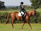 Image 86 in BECCLES AND BUNGAY RC. ONE DAY EVENT. 25 SEPT. 2016. GALLERY COMPLETE.