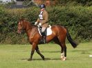 Image 91 in BECCLES AND BUNGAY RC. ONE DAY EVENT. 25 SEPT. 2016. GALLERY COMPLETE.