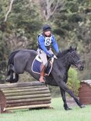 Image 120 in BECCLES AND BUNGAY RC. HUNTER TRIAL 16. OCT. 2016
