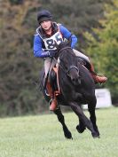 Image 123 in BECCLES AND BUNGAY RC. HUNTER TRIAL 16. OCT. 2016