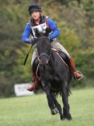 Image 125 in BECCLES AND BUNGAY RC. HUNTER TRIAL 16. OCT. 2016