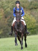 Image 130 in BECCLES AND BUNGAY RC. HUNTER TRIAL 16. OCT. 2016