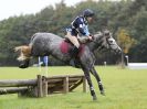 Image 151 in BECCLES AND BUNGAY RC. HUNTER TRIAL 16. OCT. 2016