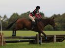 Image 174 in BECCLES AND BUNGAY RC. HUNTER TRIAL 16. OCT. 2016