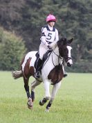 Image 184 in BECCLES AND BUNGAY RC. HUNTER TRIAL 16. OCT. 2016