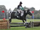 Image 204 in BECCLES AND BUNGAY RC. HUNTER TRIAL 16. OCT. 2016