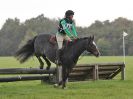 Image 208 in BECCLES AND BUNGAY RC. HUNTER TRIAL 16. OCT. 2016