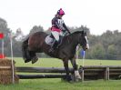 Image 211 in BECCLES AND BUNGAY RC. HUNTER TRIAL 16. OCT. 2016