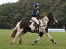 Image 270 in BECCLES AND BUNGAY RC. HUNTER TRIAL 16. OCT. 2016