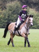 Image 271 in BECCLES AND BUNGAY RC. HUNTER TRIAL 16. OCT. 2016