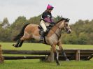 Image 273 in BECCLES AND BUNGAY RC. HUNTER TRIAL 16. OCT. 2016