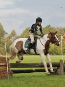 Image 276 in BECCLES AND BUNGAY RC. HUNTER TRIAL 16. OCT. 2016