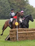 Image 305 in BECCLES AND BUNGAY RC. HUNTER TRIAL 16. OCT. 2016
