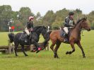 Image 306 in BECCLES AND BUNGAY RC. HUNTER TRIAL 16. OCT. 2016