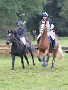 Image 314 in BECCLES AND BUNGAY RC. HUNTER TRIAL 16. OCT. 2016