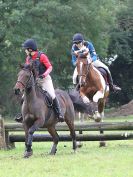Image 325 in BECCLES AND BUNGAY RC. HUNTER TRIAL 16. OCT. 2016