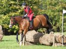 Image 330 in BECCLES AND BUNGAY RC. HUNTER TRIAL 16. OCT. 2016